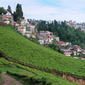 A view of Darjeeling