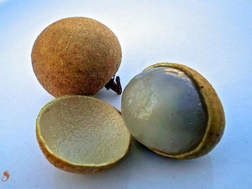 longan-fruits