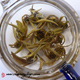  2012 Mo Li Long Zhu Hua Cha Jasmine Dragon Pearl Green Tea