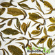 2013 Yunnan Simao Huoqing Green Tea