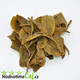 2013 Spring Mengsong Baotang Gushu Maocha