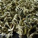 2013 Yunnan Simao Premium Green Tea "Gao Shan Yin Ya"