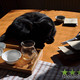 Sheng 2013 Blind Tasting Set - I kočce se to asi líbilo
