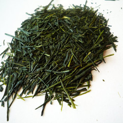 Sencha Ohira 2013