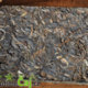 2008 Yong Pin Hao Yiwu Zhen Shan Spring Raw Puerh Tea Brick 250g