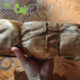 2012 Xiaguan FT Flame Mushroom (Jin Cha) Raw Puerh Tea 250g
